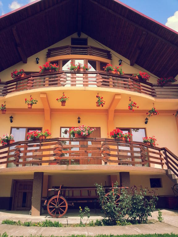 Pensiunea Maramures Ocna Şugatag 外观 照片