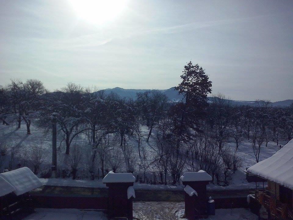 Pensiunea Maramures Ocna Şugatag 外观 照片
