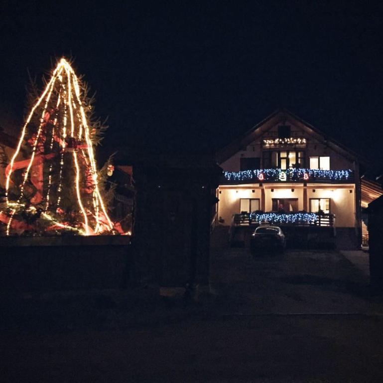 Pensiunea Maramures Ocna Şugatag 外观 照片