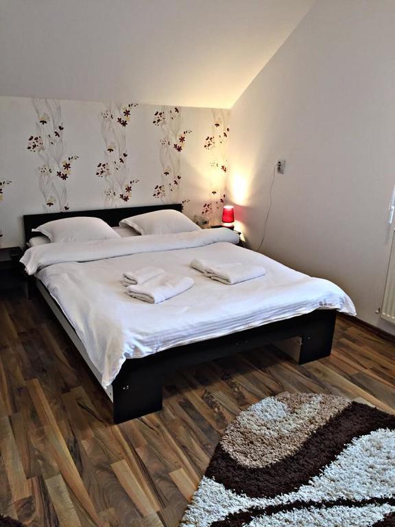 Pensiunea Maramures Ocna Şugatag 外观 照片