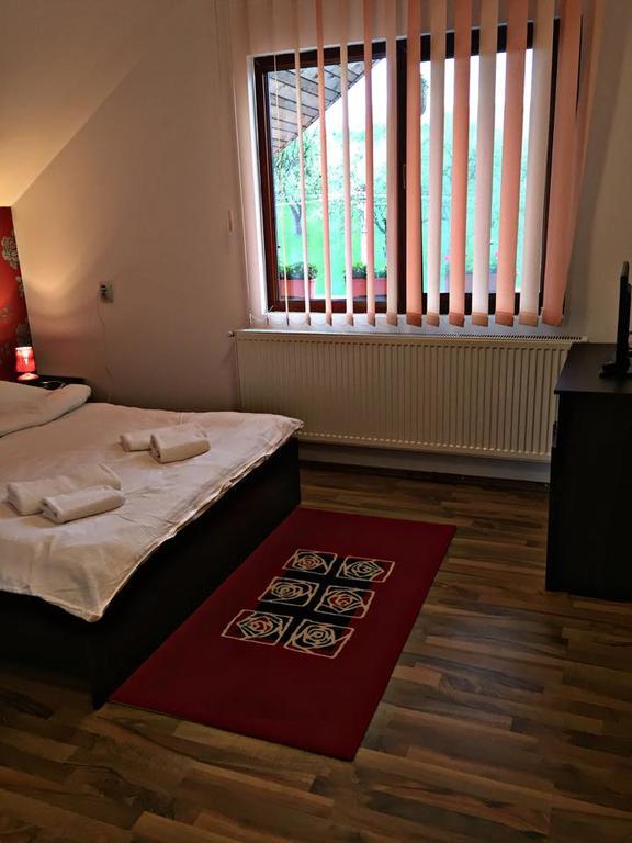 Pensiunea Maramures Ocna Şugatag 外观 照片