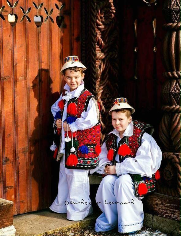 Pensiunea Maramures Ocna Şugatag 外观 照片