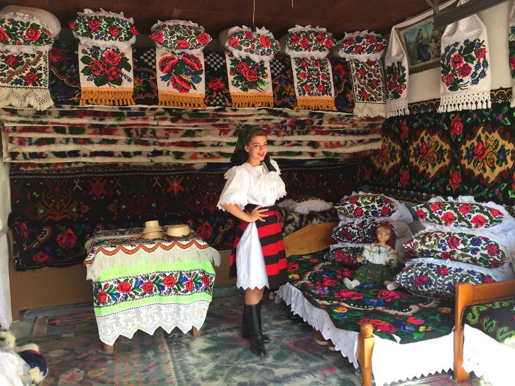 Pensiunea Maramures Ocna Şugatag 外观 照片